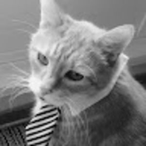 Meet your Posher, Carol-anne